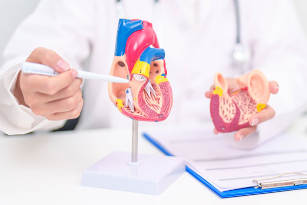 心臓血管外科 診療風景